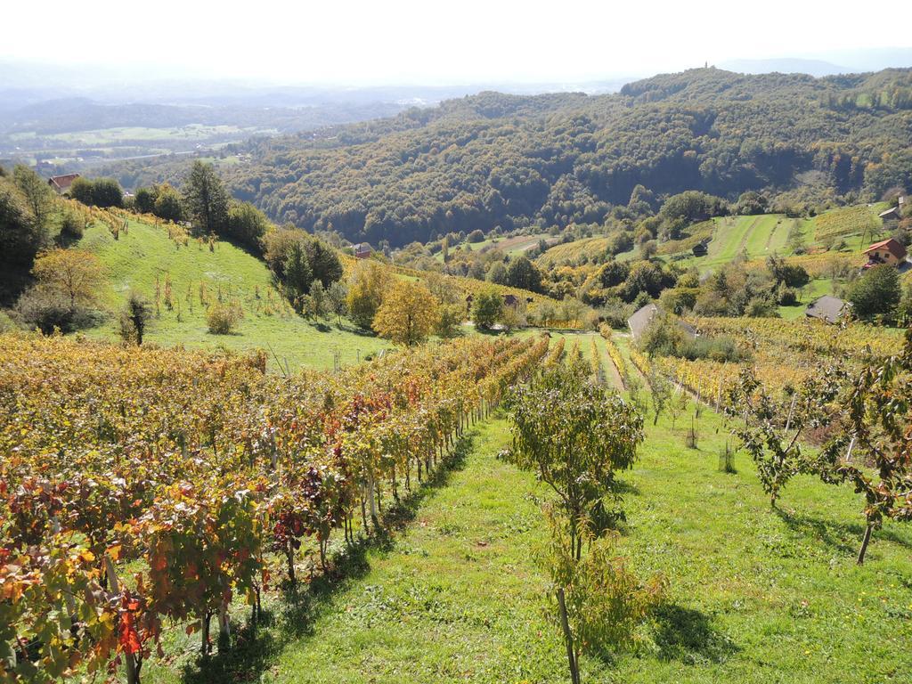Vineyard Cottage Janko&Metka Otočec Exteriör bild